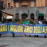 alpini28