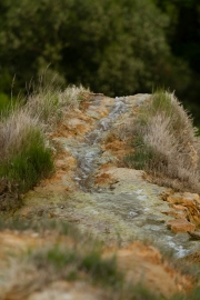 bagnovignoni-15