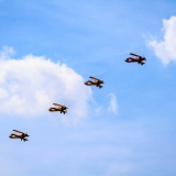 img16.jpg