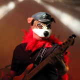 concerto (11)