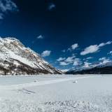 img12.jpg