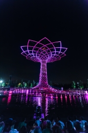 expo-119