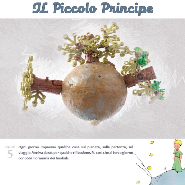 ilPiccoloPrincipe14