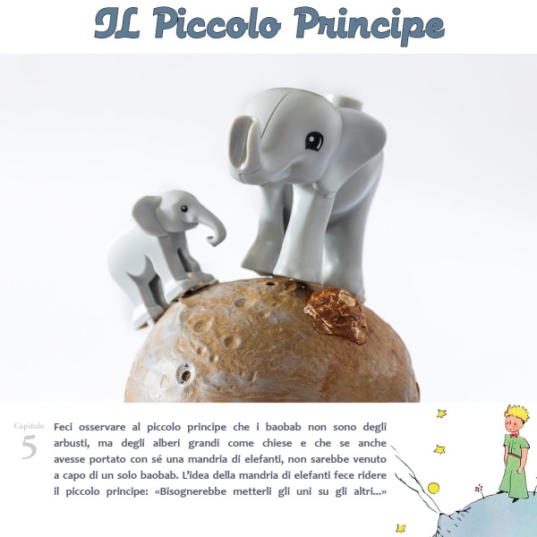 ilPiccoloPrincipe15