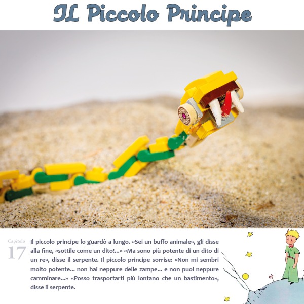 ilPiccoloPrincipe29