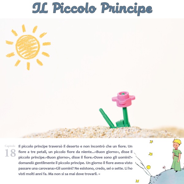 ilPiccoloPrincipe30