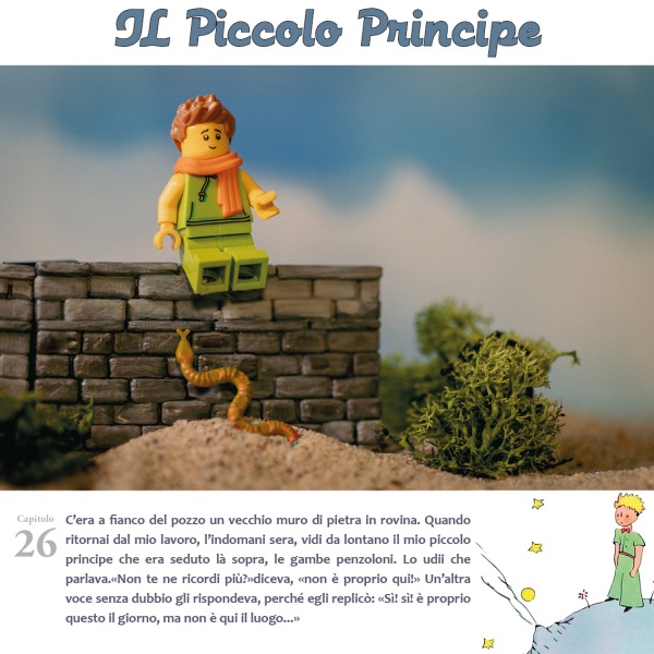 ilPiccoloPrincipe41
