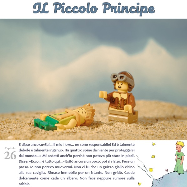 ilPiccoloPrincipe42