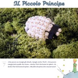 ilPiccoloPrincipe17