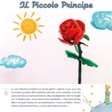 ilPiccoloPrincipe18