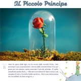 ilPiccoloPrincipe19