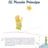 ilPiccoloPrincipe43