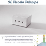 ilPiccoloPrincipe9