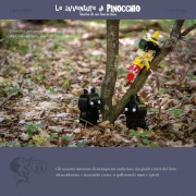 pinocchio27