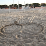 mare (27)