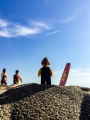 minifig_049.jpg