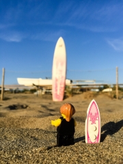 minifig_065.jpg