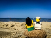 minifig_191.jpg