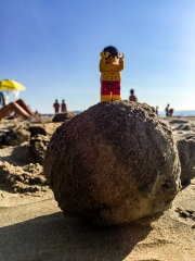 minifig_236.jpg