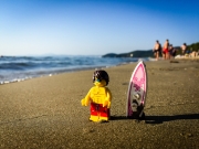 minifig_239.jpg