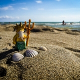 minifig_033.jpg