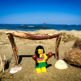 minifig_173.jpg
