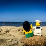 minifig_191.jpg