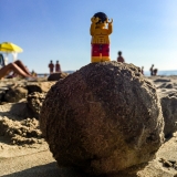 minifig_236.jpg