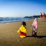 minifig_239.jpg