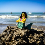 minifig_286.jpg