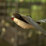 orticolario (11)
