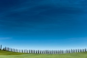 IMG_3407