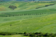 valdorcia-14