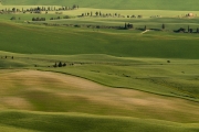 valdorcia-25