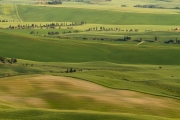 valdorcia-26