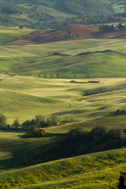 valdorcia-28