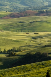 valdorcia-29