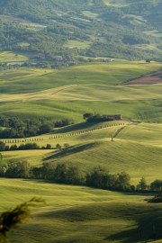 valdorcia-30