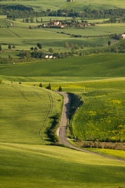 valdorcia-33