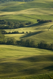 valdorcia-34