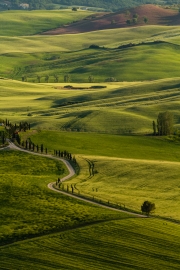 valdorcia-37