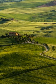 valdorcia-39