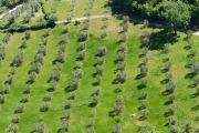 valdorcia-4