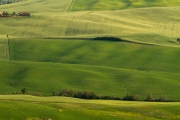 valdorcia-41