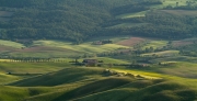 valdorcia-42