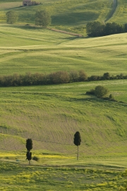 valdorcia-43