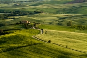 valdorcia-44
