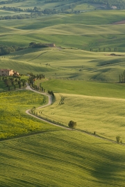 valdorcia-45