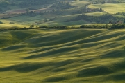 valdorcia-46