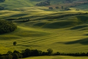 valdorcia-47
